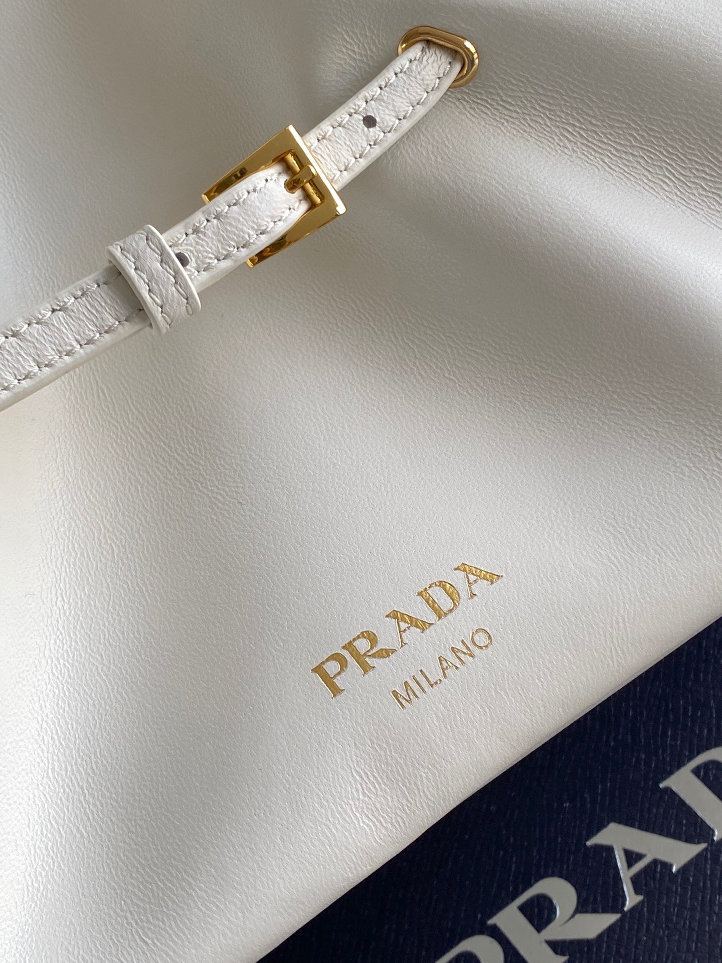 Prada Dada Small Nappa Leather Bag